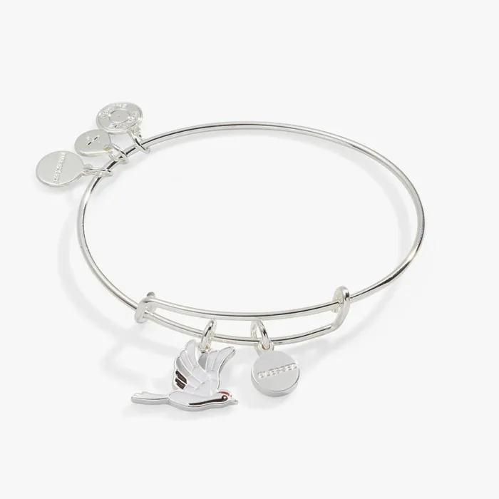 039Blessed039 Crane Duo Charm Bangle Bracelet Silver Women Alex And Ani Spiritual Religious 039Blessed039 Crane Duo Charm Bangle Bracelet Silver Women Alex And Ani Spiritual Religious