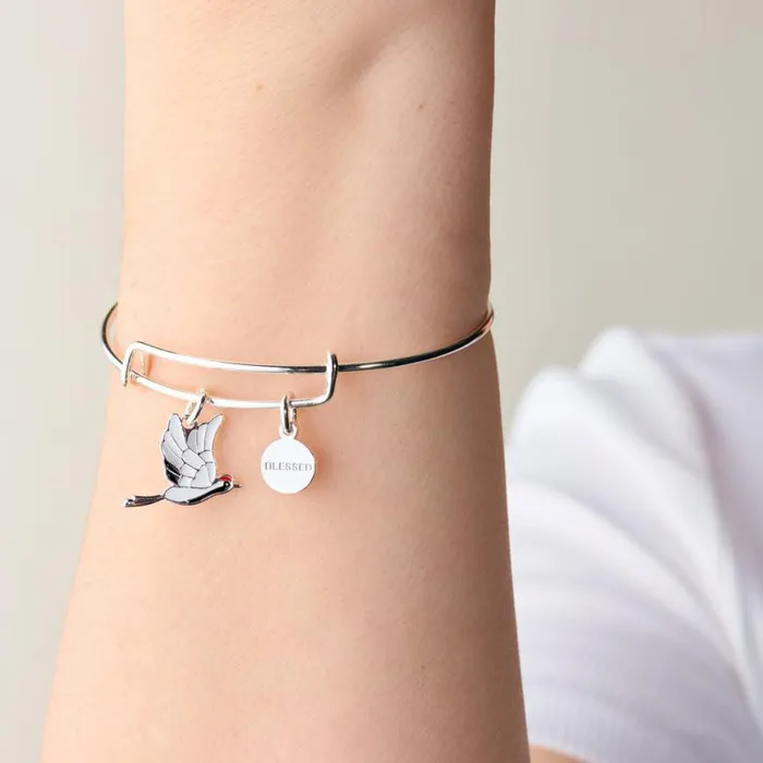 039Blessed039 Crane Duo Charm Bangle Bracelet Silver Women Alex And Ani Spiritual Religious 039Blessed039 Crane Duo Charm Bangle Bracelet Silver Women Alex And Ani Spiritual Religious