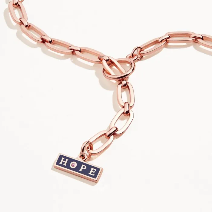 039Hope039 Charm Toggle Necklace Shiny Rose Gold Women Alex And Ani Spiritual Religious 039Hope039 Charm Toggle Necklace Shiny Rose Gold Women Alex And Ani Spiritual Religious