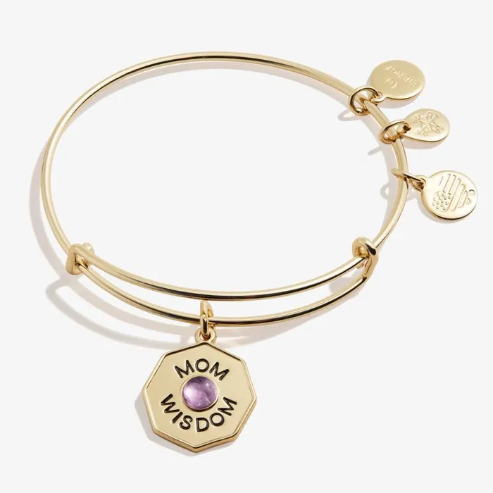 039Mom Wisdom039 Amethyst Charm Bangle Bracelet Silver Women Alex And Ani Love