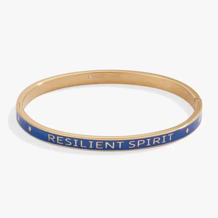 039Resilient Spirit039 Hinge Bangle Stainless Steel Gold Women Alex And Ani Fine Jewelry