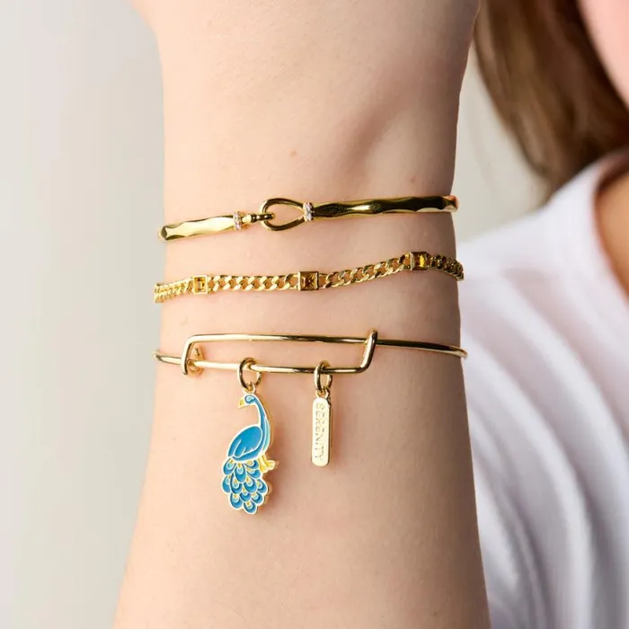 039Serenity039 Peacock Duo Charm Bangle Bracelet Gold Women Alex And Ani Iconic Alex And Ani