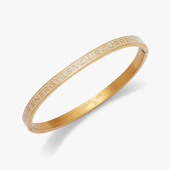 039Your Energy Is Your Currency039 Hinge Bangle Stainless Steel Gold Women Alex And Ani Fine Jewelry