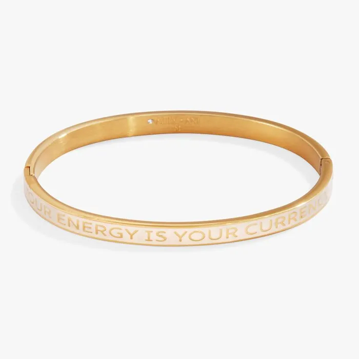 039Your Energy Is Your Currency039 Hinge Bangle Stainless Steel Gold Women Alex And Ani Fine Jewelry