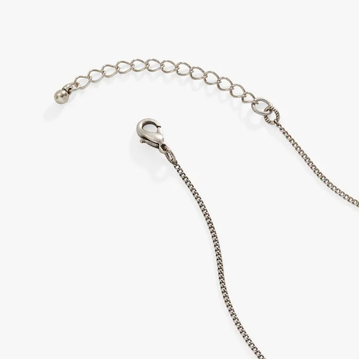 Antique Butterfly Necklace Two Tone Women Alex And Ani Butterfly