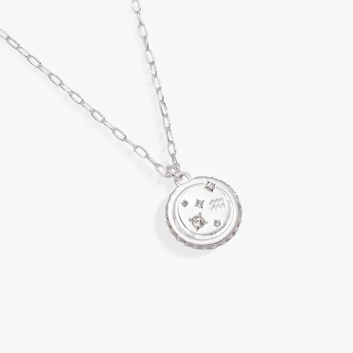 Aquarius Zodiac Precious Necklace Sterling Silver Women Alex And Ani Birthday
