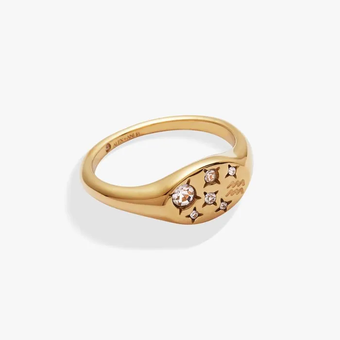 Aquarius Zodiac Ring Stainless Steel Gold Women Alex And Ani Rings