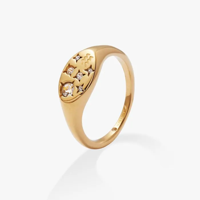 Aquarius Zodiac Ring Stainless Steel Gold Women Alex And Ani Rings