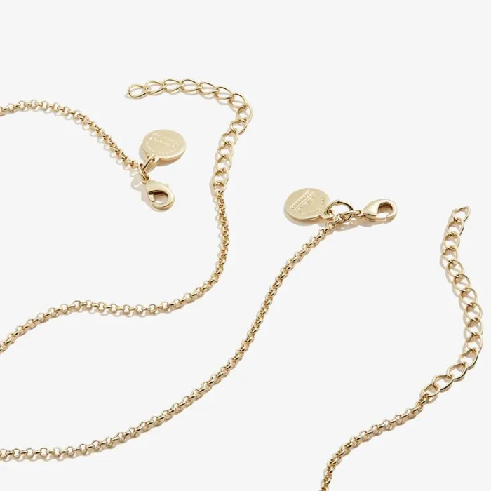 Best Friend Necklaces Pink Red Set Of 2 Shiny Gold Women Alex And Ani Jewelry Sets
