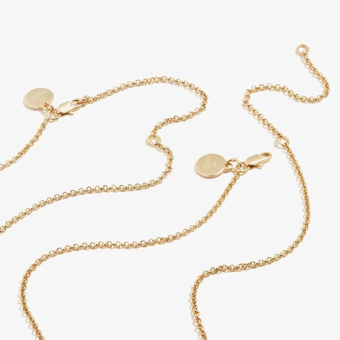 Best Friends Charm Necklace Set Of 2 Silver Women Alex And Ani Love Best Friends Charm Necklace Set Of 2 Silver Women Alex And Ani Love