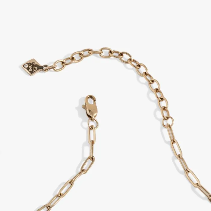 Butterfly Transformation Interchangeable Charm Necklace Stainless Steel Gold Women Alex And Ani Interchangeable Starter Set Butterfly Transformation Interchangeable Charm Necklace Stainless Steel Gold Women Alex And Ani Interchangeable Starter Set