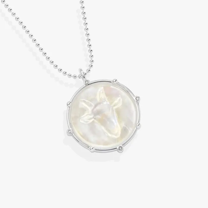 Capricorn Zodiac DoubleSided Charm Necklace Silver Women Alex And Ani Necklaces Capricorn Zodiac DoubleSided Charm Necklace Silver Women Alex And Ani Necklaces