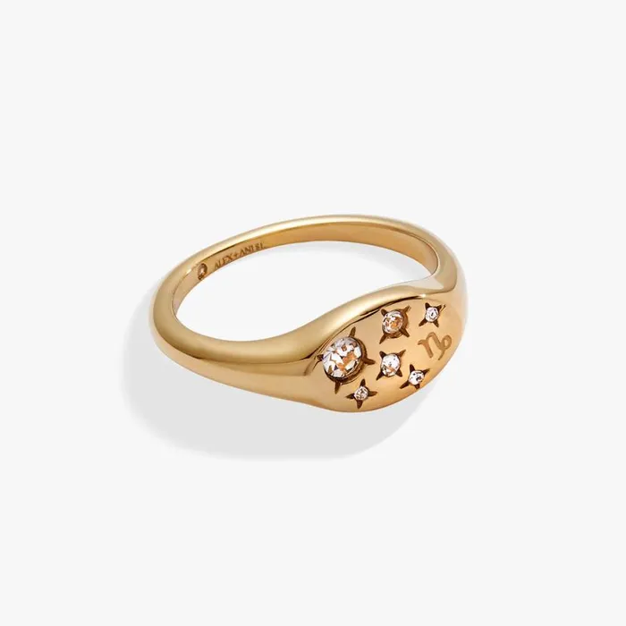 Capricorn Zodiac Ring Stainless Steel Gold Women Alex And Ani Rings