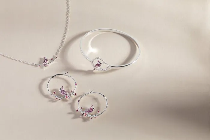 Cardinal Necklace Silver Women Alex And Ani Necklaces Cardinal Necklace Silver Women Alex And Ani Necklaces