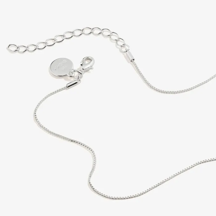 Clear Crystal Heart Necklace April Birthstone Silver Women Alex And Ani Necklaces Clear Crystal Heart Necklace April Birthstone Silver Women Alex And Ani Necklaces