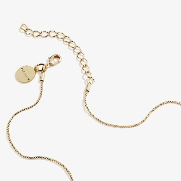 Clear Crystal Heart Necklace April Birthstone Silver Women Alex And Ani Necklaces Clear Crystal Heart Necklace April Birthstone Silver Women Alex And Ani Necklaces