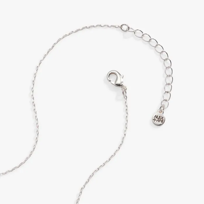 Crystal Drop Necklace Silver Women Alex And Ani Anniversary Crystal Drop Necklace Silver Women Alex And Ani Anniversary
