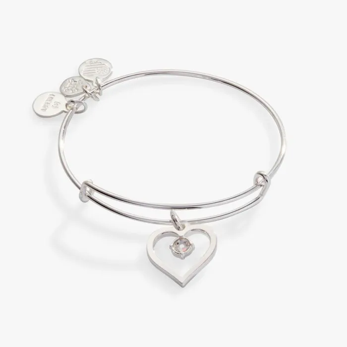 Crystal In Heart Charm Bangle Bracelet Silver Women Alex And Ani Sympathy In Memory Crystal In Heart Charm Bangle Bracelet Silver Women Alex And Ani Sympathy In Memory