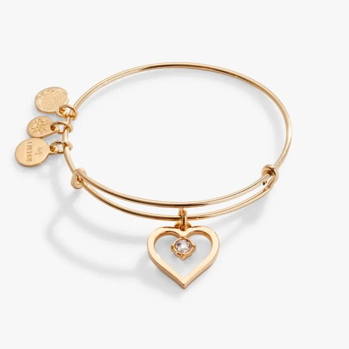 Crystal In Heart Charm Bangle Bracelet Silver Women Alex And Ani Sympathy In Memory Crystal In Heart Charm Bangle Bracelet Silver Women Alex And Ani Sympathy In Memory