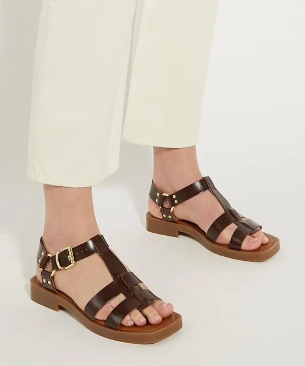 Dune London Flat Sandals Loto Dark Tan Leather Gladiator Sandals Dune London Brown 8211 Women Dune London Flat Sandals Loto Dark Tan Leather Gladiator Sandals Dune London Brown 8211 Women