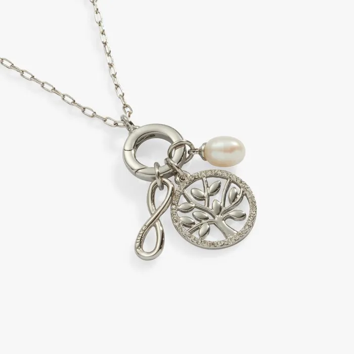 Family Forever Necklace Silver Women Alex And Ani Sympathy In Memory
