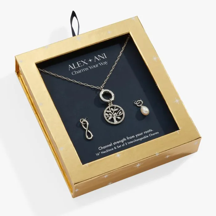 Family Forever Necklace Silver Women Alex And Ani Sympathy In Memory