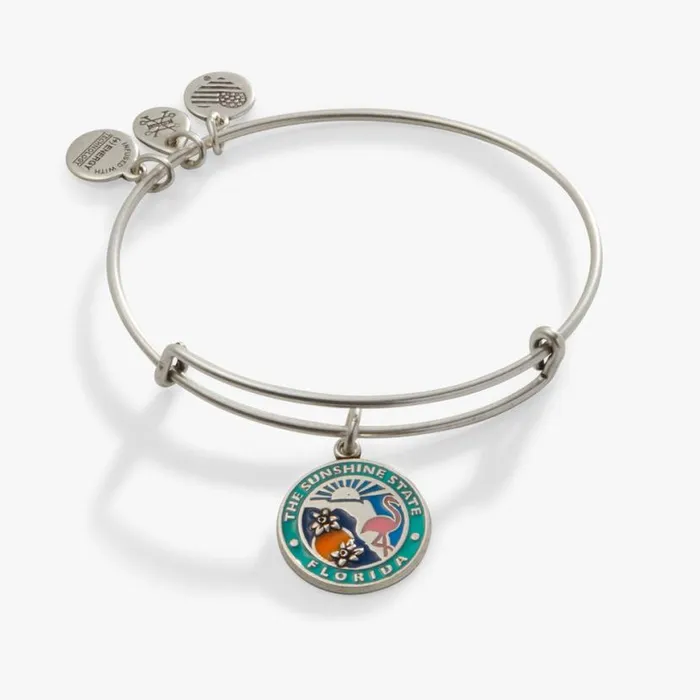 Florida Charm Bangle Bracelet Rafaelian Silver Women Alex And Ani Iconic Alex And Ani Florida Charm Bangle Bracelet Rafaelian Silver Women Alex And Ani Iconic Alex And Ani