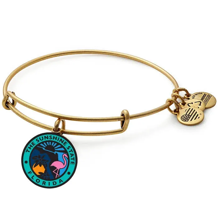 Florida Charm Bangle Bracelet Rafaelian Silver Women Alex And Ani Iconic Alex And Ani Florida Charm Bangle Bracelet Rafaelian Silver Women Alex And Ani Iconic Alex And Ani