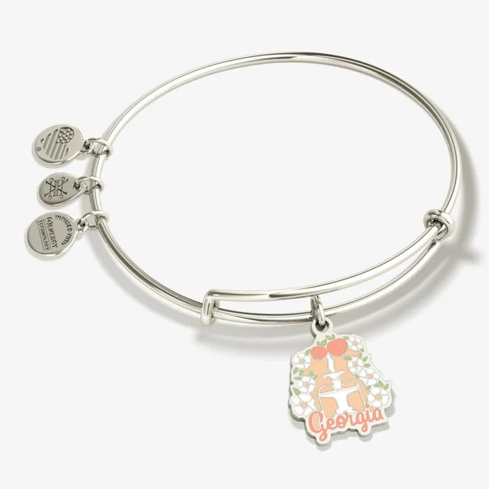Georgia Charm Bangle Bracelet Shiny Gold Women Alex And Ani Iconic Alex And Ani Georgia Charm Bangle Bracelet Shiny Gold Women Alex And Ani Iconic Alex And Ani