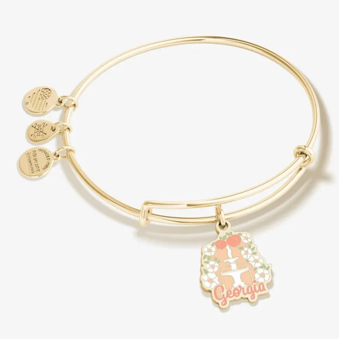 Georgia Charm Bangle Bracelet Shiny Gold Women Alex And Ani Iconic Alex And Ani