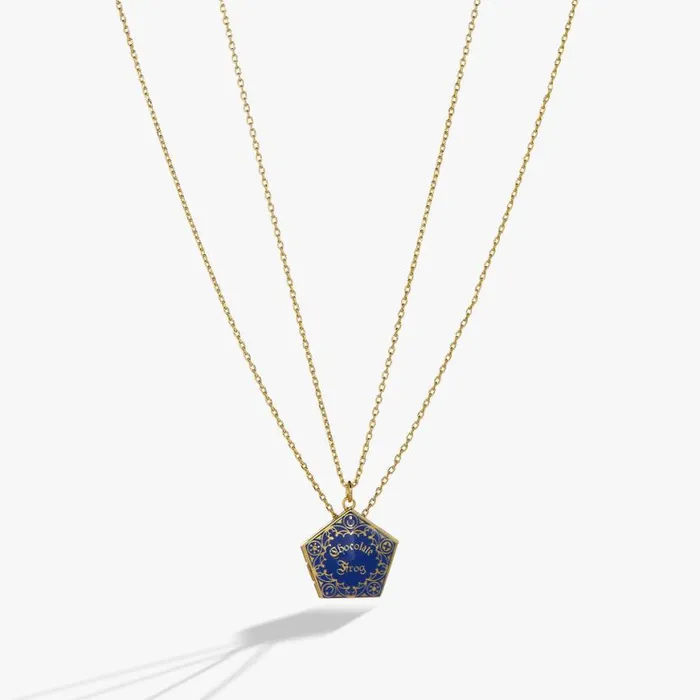 Harry Potter Chocolate Frog Necklace Set Two Tone Women Alex And Ani Halloween