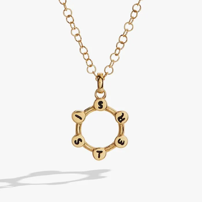 Hidden Message 039Sister039 Crystal Necklace Stainless Steel Gold Women Alex And Ani Necklaces