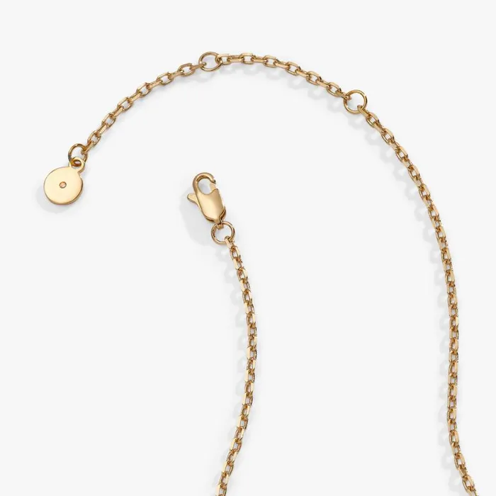 Hidden Message Butterfly Affirmation Necklace Gold Women Alex And Ani Strength Protection