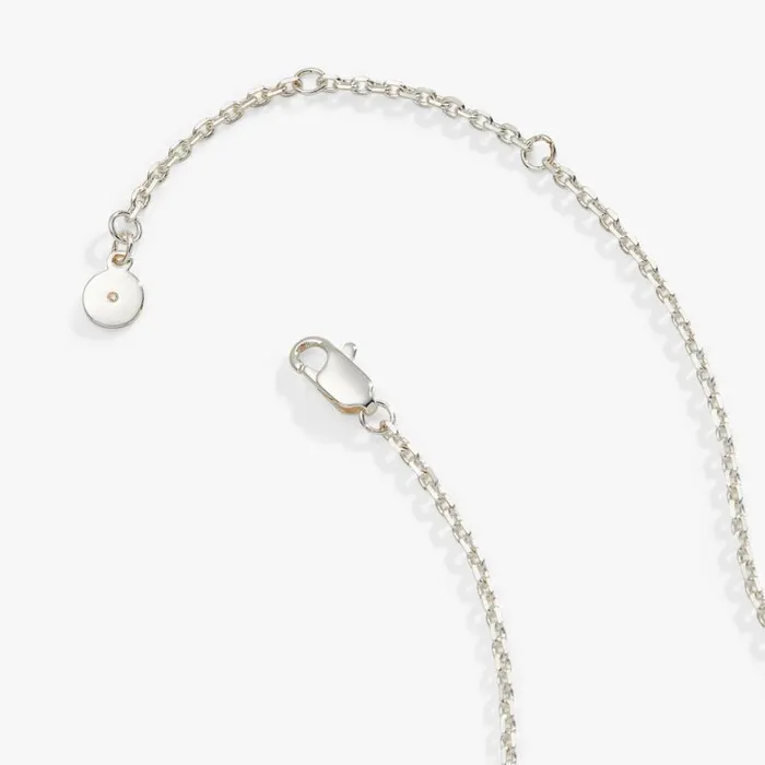 Hidden Message Cross Affirmation Necklace Silver Women Alex And Ani Necklaces