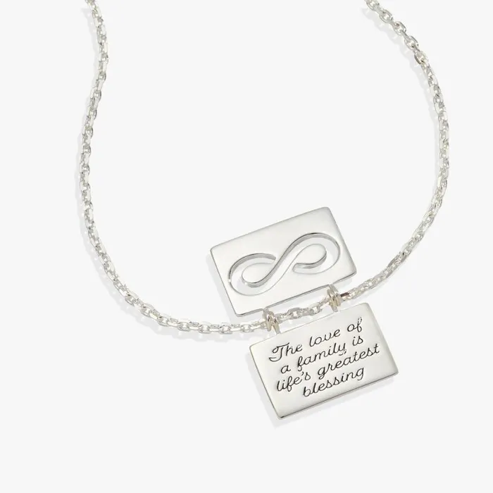 Hidden Message Infinity Affirmation Necklace Silver Women Alex And Ani Anniversary