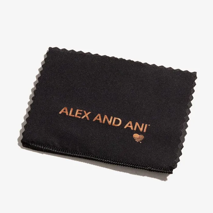 Jewelry Polishing Cloth Women Alex And Ani Accessories