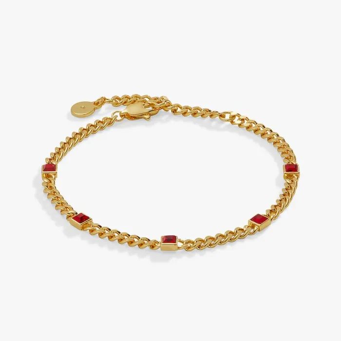 July Birthstone Ruby Curb Chain Bracelet Silver Women Alex And Ani Love