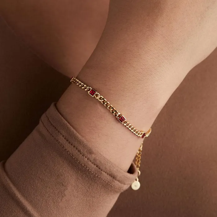 July Birthstone Ruby Curb Chain Bracelet Silver Women Alex And Ani Love