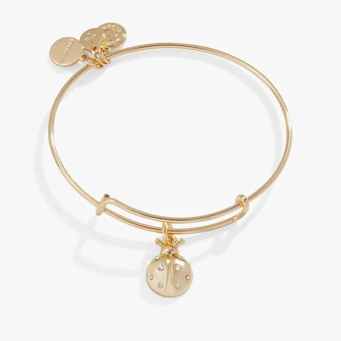 Ladybug Charm Bangle Bracelet Gold Women Alex And Ani Luck Prosperity