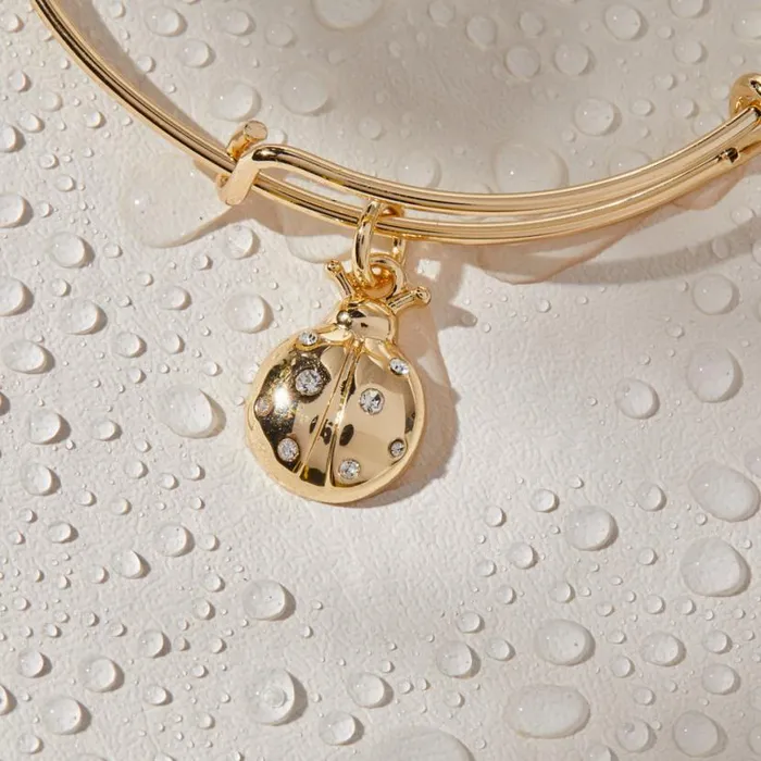 Ladybug Charm Bangle Bracelet Gold Women Alex And Ani Luck Prosperity Ladybug Charm Bangle Bracelet Gold Women Alex And Ani Luck Prosperity