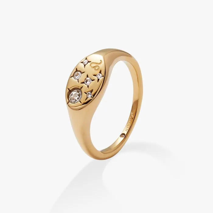 Leo Zodiac Ring Stainless Steel Gold Women Alex And Ani Rings