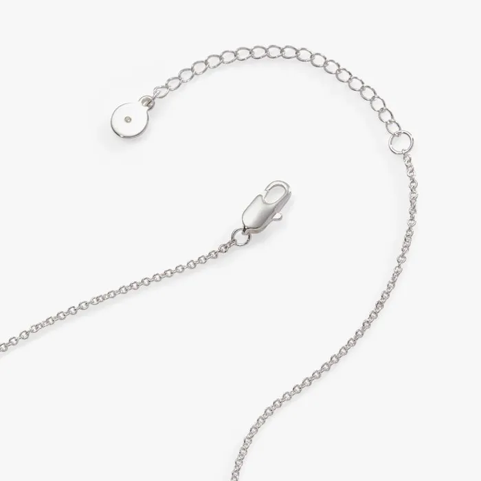 Make Your Own Luck Duo Charm Pendant Necklace Silver Women Alex And Ani Necklaces Make Your Own Luck Duo Charm Pendant Necklace Silver Women Alex And Ani Necklaces