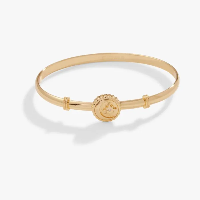 Moon North Star Clip Bangle Bracelet Silver Women Alex And Ani Iconic Alex And Ani