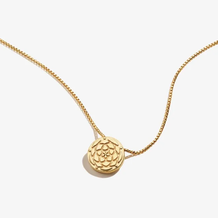 New Beginnings Necklace 14kt Gold Over Sterling Silver Women Alex And Ani Growth New Beginnings New Beginnings Necklace 14kt Gold Over Sterling Silver Women Alex And Ani Growth New Beginnings