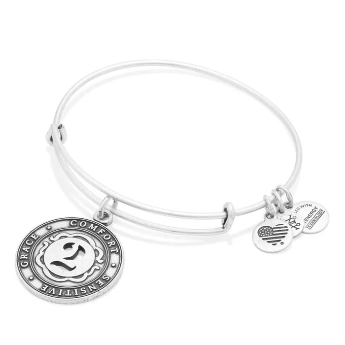 Number 2 Charm Bangle Bracelet Rafaelian Gold Women Alex And Ani Iconic Alex And Ani Number 2 Charm Bangle Bracelet Rafaelian Gold Women Alex And Ani Iconic Alex And Ani