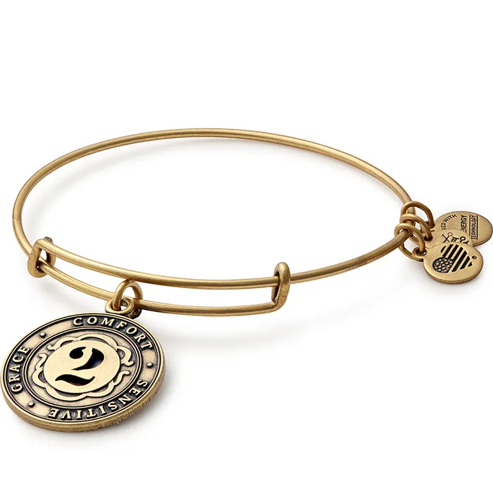 Number 2 Charm Bangle Bracelet Rafaelian Gold Women Alex And Ani Iconic Alex And Ani Number 2 Charm Bangle Bracelet Rafaelian Gold Women Alex And Ani Iconic Alex And Ani