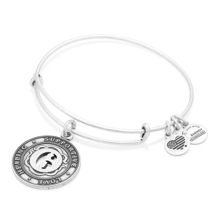 Number 6 Charm Bangle Bracelet Rafaelian Gold Women Alex And Ani Iconic Alex And Ani Number 6 Charm Bangle Bracelet Rafaelian Gold Women Alex And Ani Iconic Alex And Ani