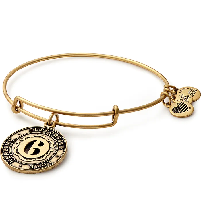Number 6 Charm Bangle Bracelet Rafaelian Gold Women Alex And Ani Iconic Alex And Ani Number 6 Charm Bangle Bracelet Rafaelian Gold Women Alex And Ani Iconic Alex And Ani
