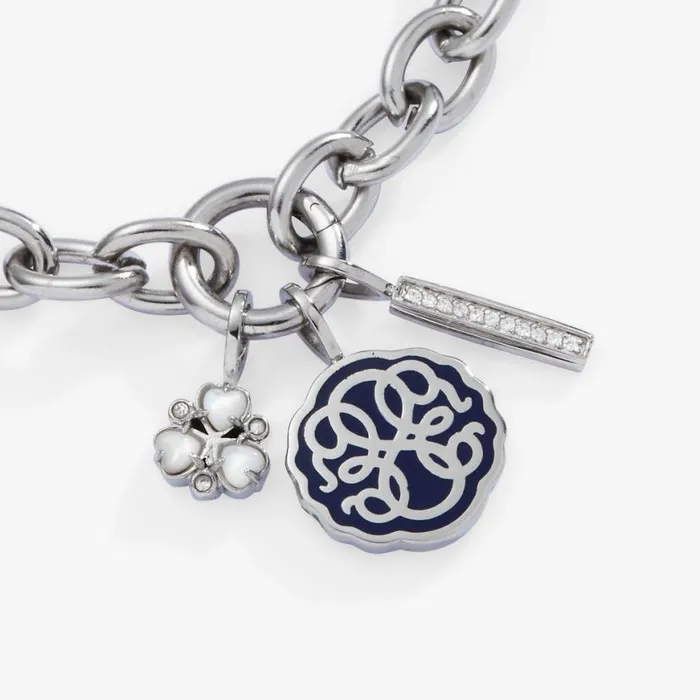 Path Of Life Trio Interchangeable Charm Bracelet Stainless Steel Silver Women Alex And Ani Interchangeable Starter Set Path Of Life Trio Interchangeable Charm Bracelet Stainless Steel Silver Women Alex And Ani Interchangeable Starter Set