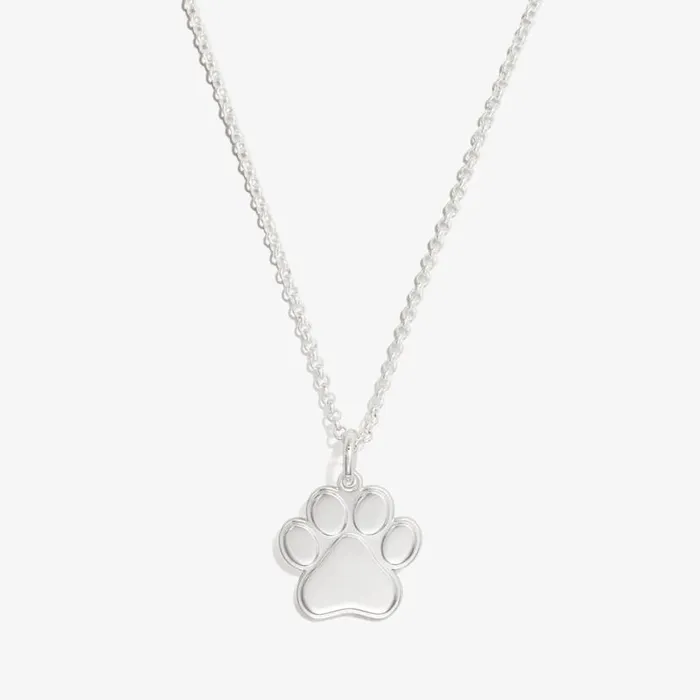 Paw Print Charm Necklace 21039039 Silver Women Alex And Ani Animals